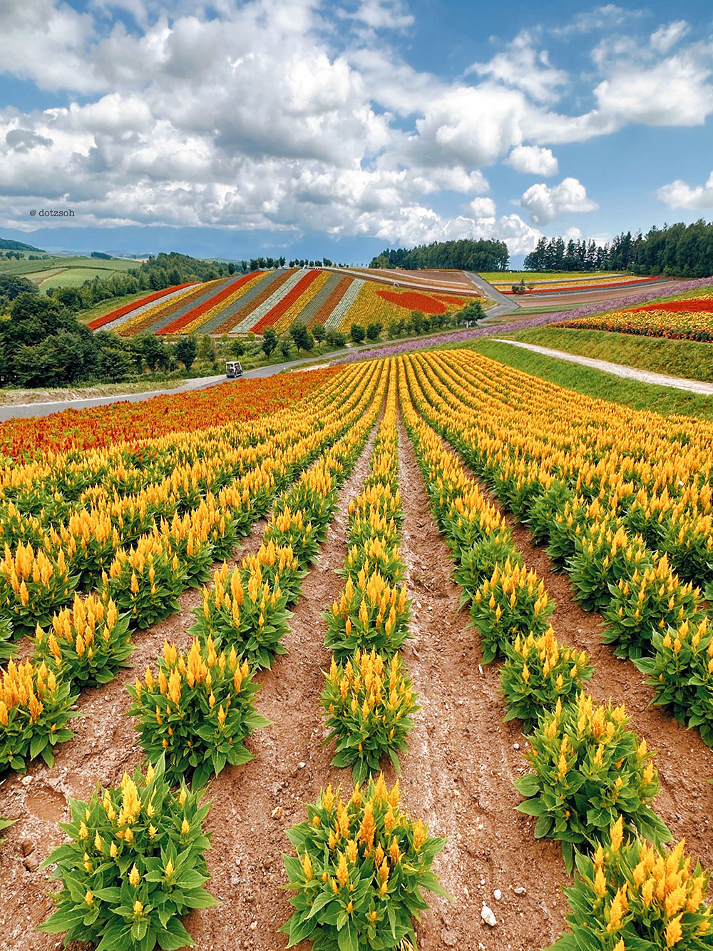 Hokkaido-Summer-Day-Trip-03-